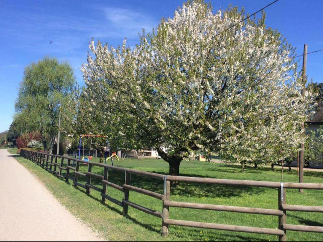 Azienda Agrituristica Scotti Somma Lombardo Eksteriør bilde