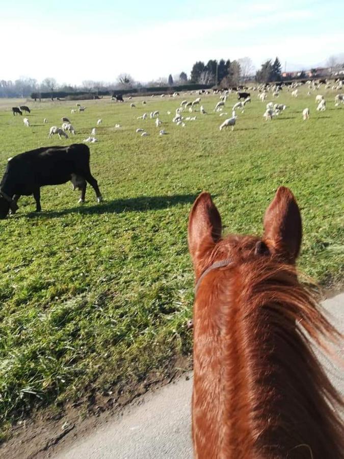 Azienda Agrituristica Scotti Somma Lombardo Eksteriør bilde