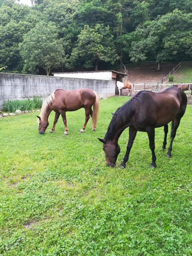 Azienda Agrituristica Scotti Somma Lombardo Eksteriør bilde